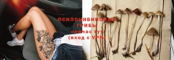 стаф Володарск