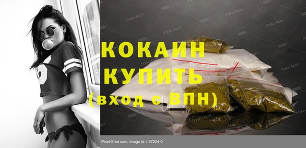 стаф Володарск