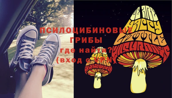 СК Волосово