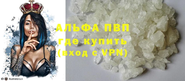 стаф Володарск