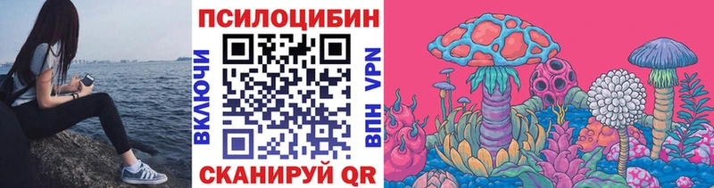 Галлюциногенные грибы Cubensis Старая Купавна