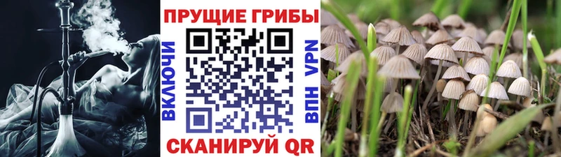 Псилоцибиновые грибы Magic Shrooms  Старая Купавна 
